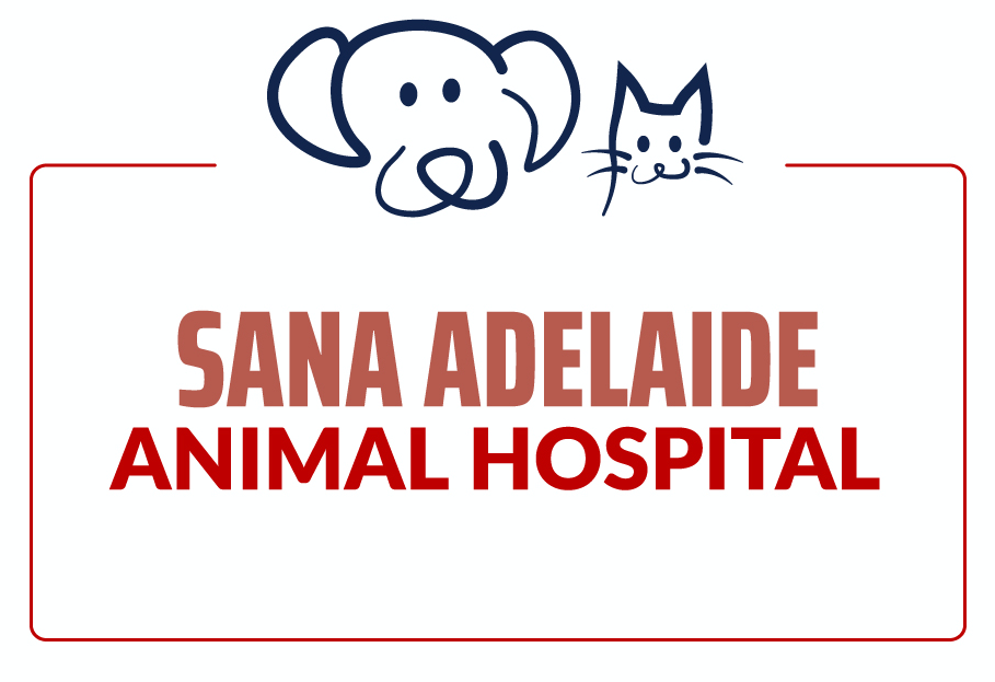 Sana Adelaide Animal Hospital
